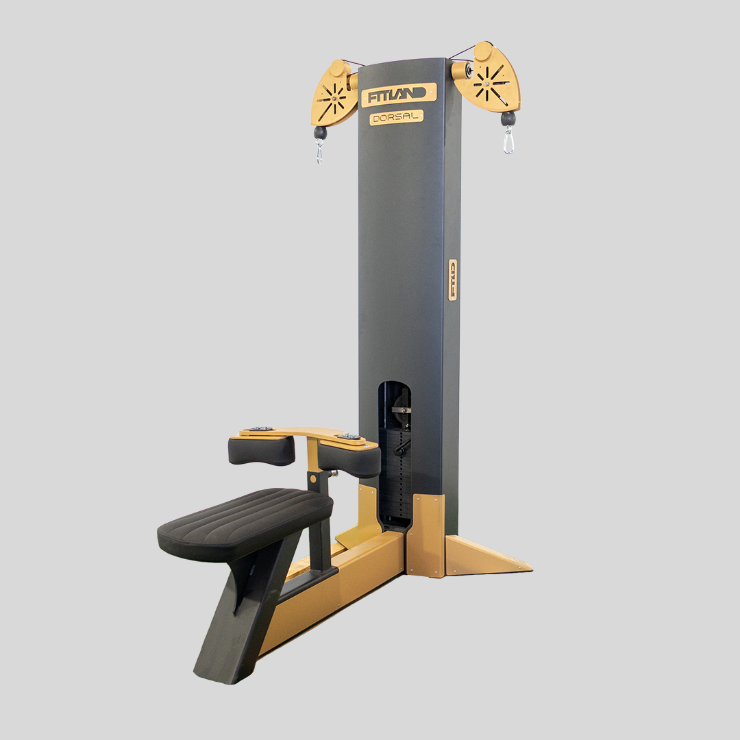 Dual Cable Lat Pulldown