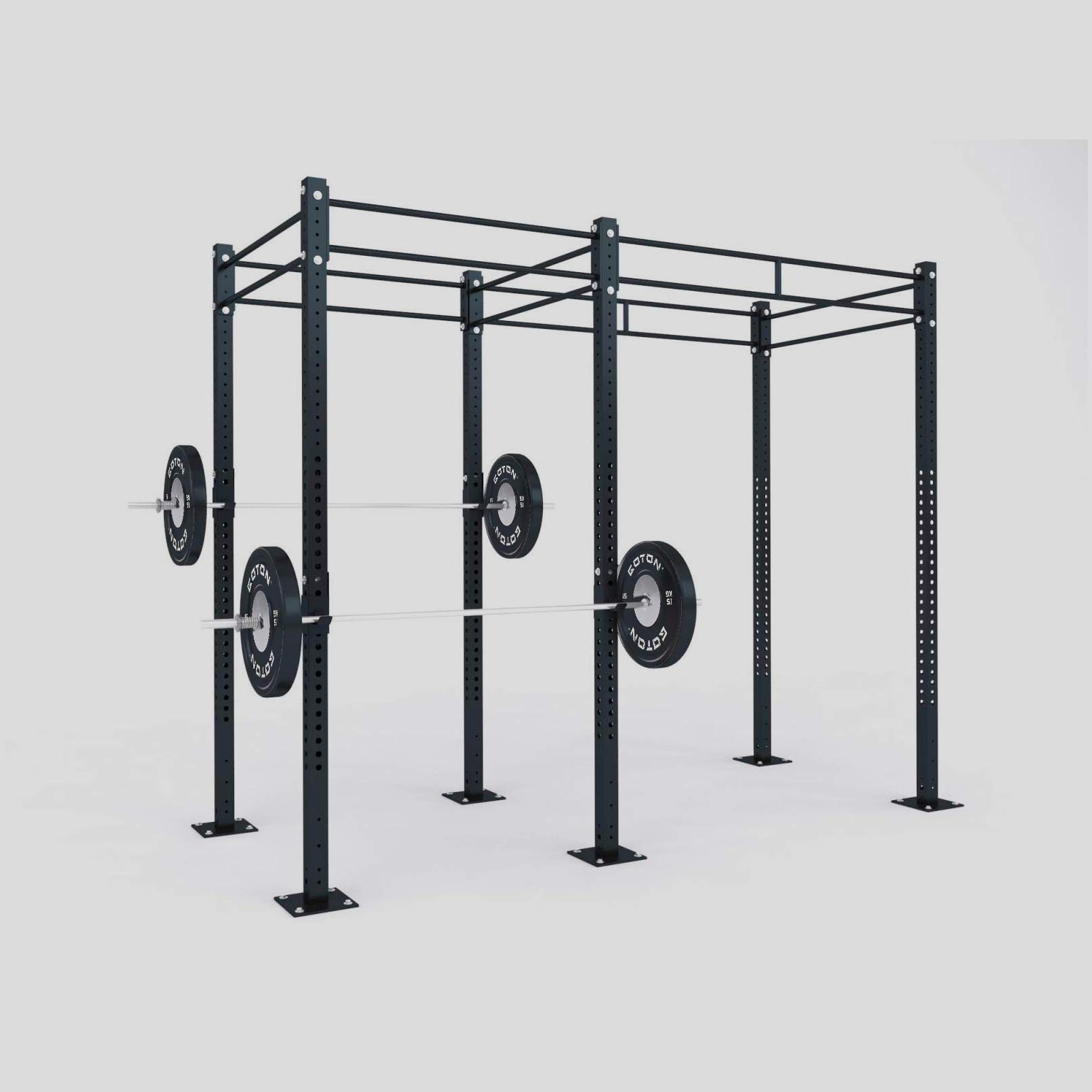 Functional Training Rig (Freestanding)