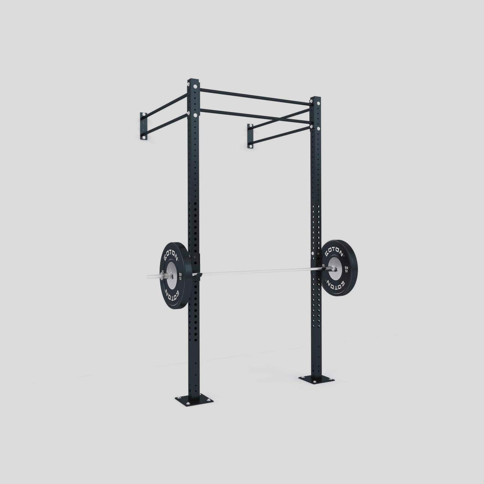 Functional Training Rig (Wall-Mounted)