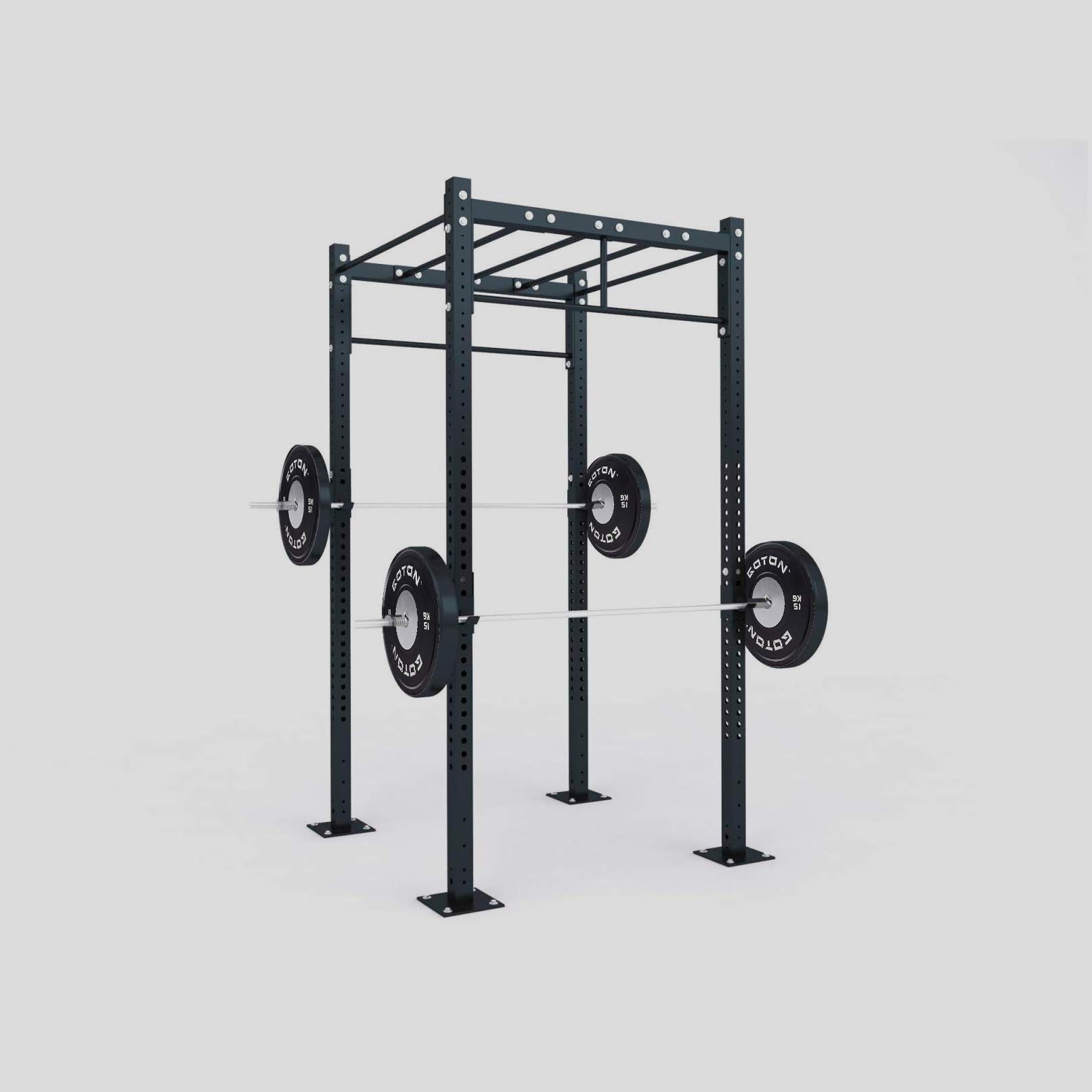 Functional Training Rig (Freestanding)