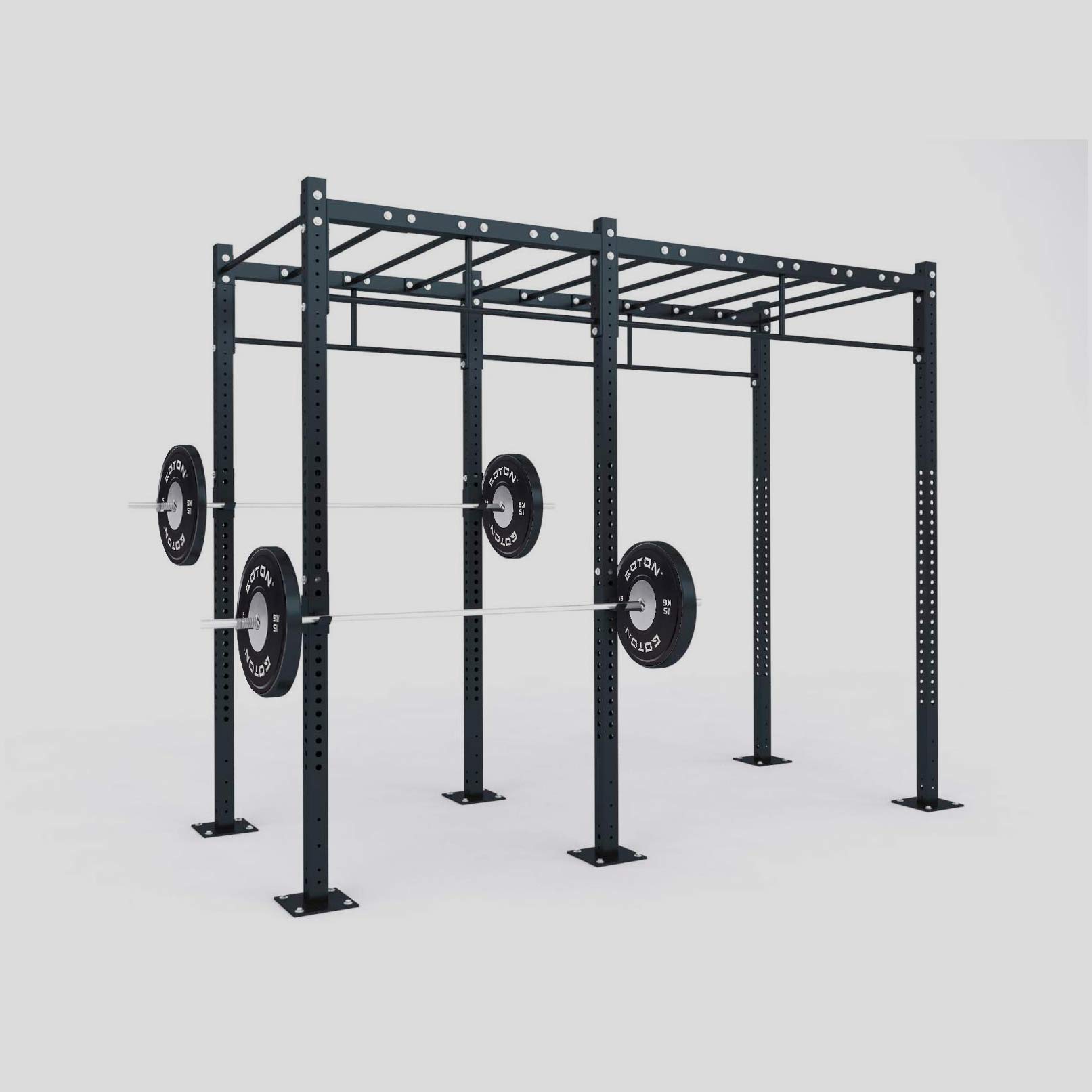 Functional Training Rig (Freestanding)